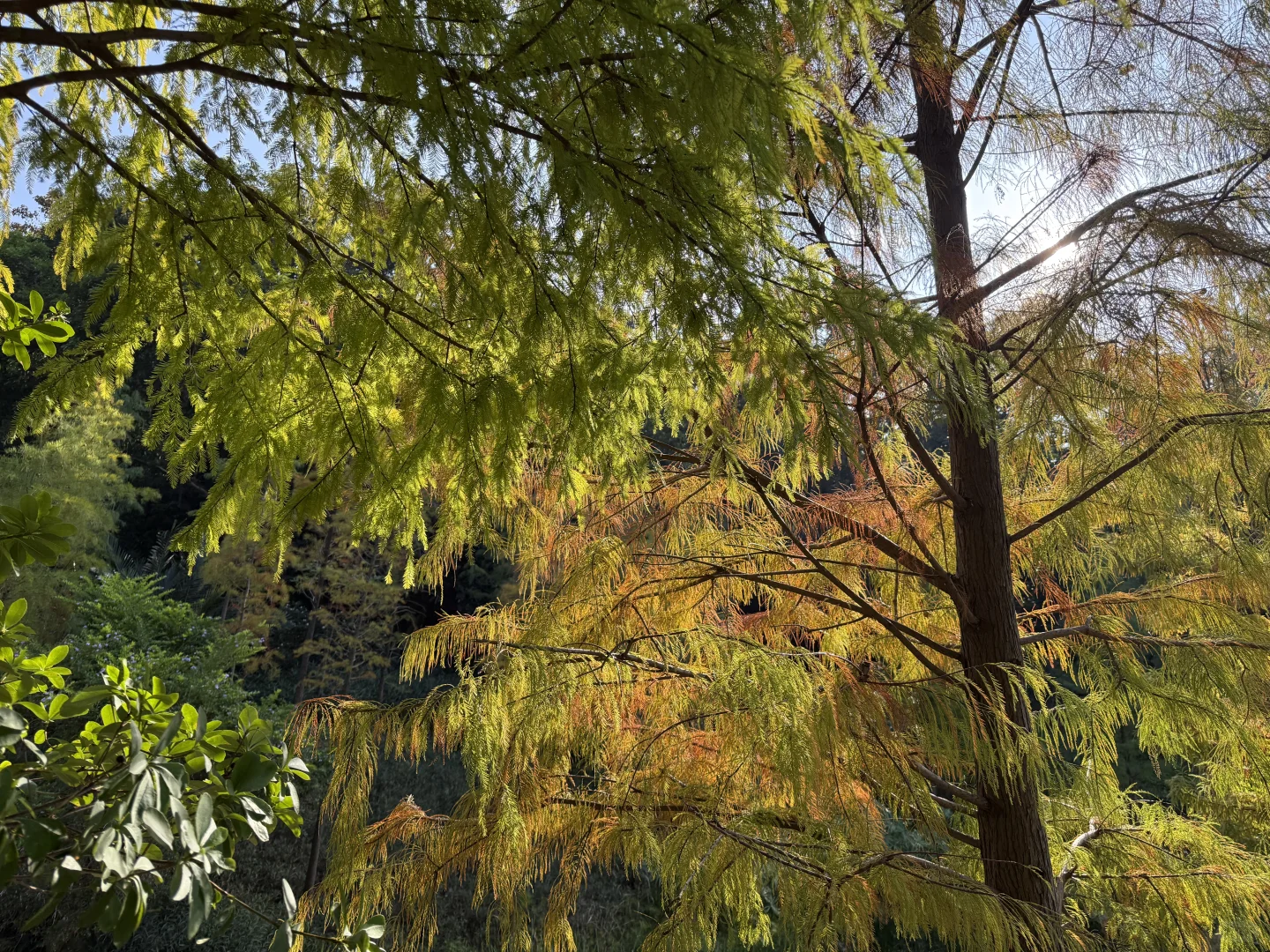我推荐每个在广州的朋友立刻马上去