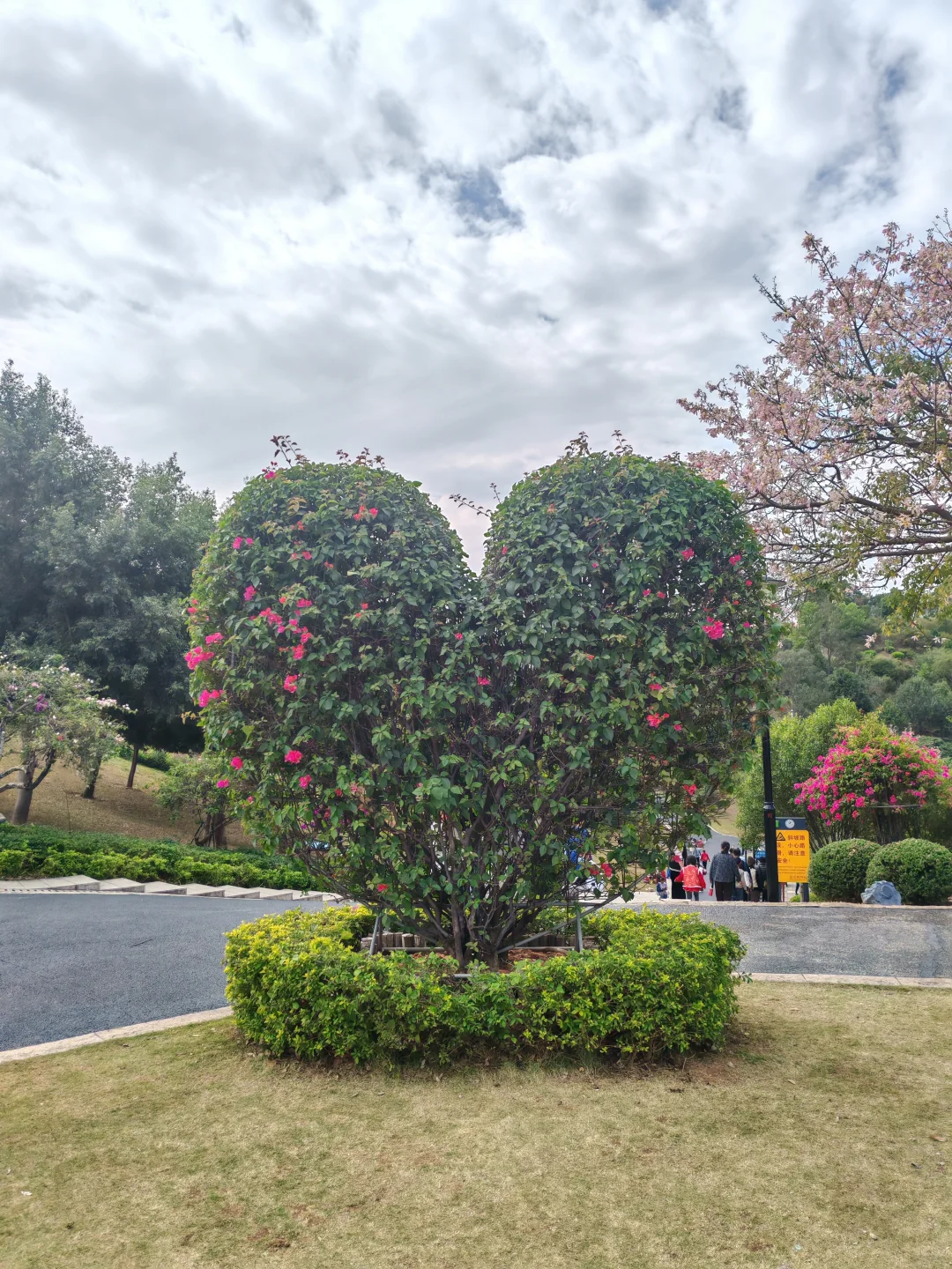 东莞植物园游玩攻略｜含网红爱心树打卡指南
