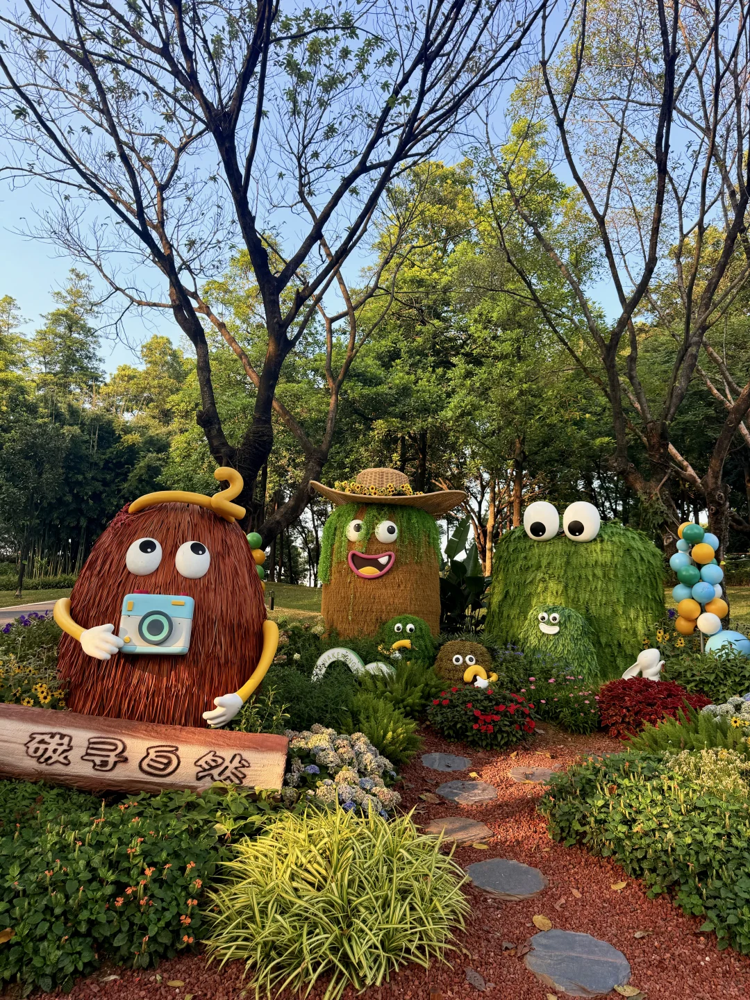 12.8live实况 广州落羽杉红啦🍁0元打卡攻略