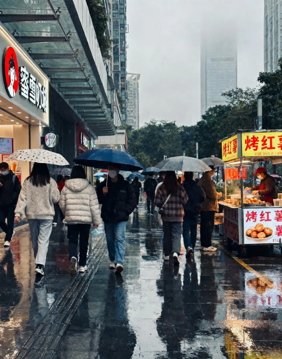 深圳12℃+小雨=入冬成功了