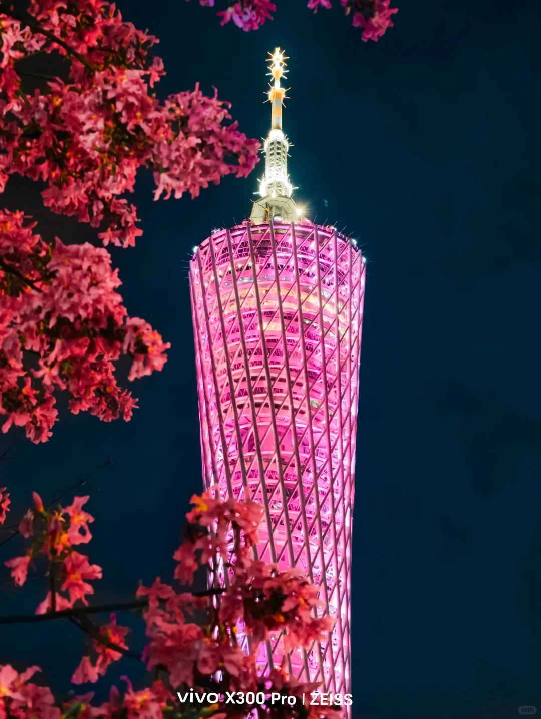 这不是春天，是12月的广州啊！附机位