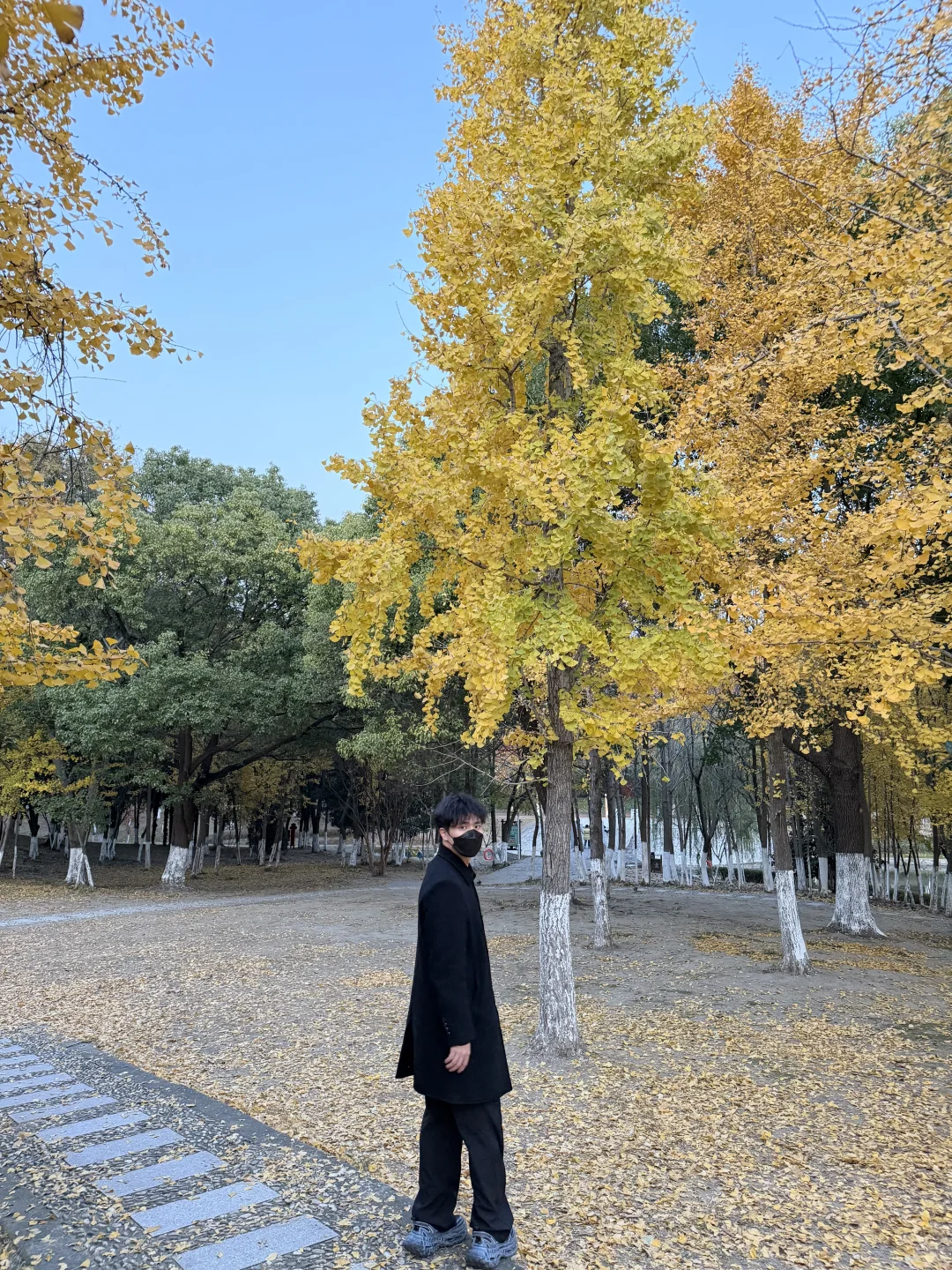 听说主动就会有机会