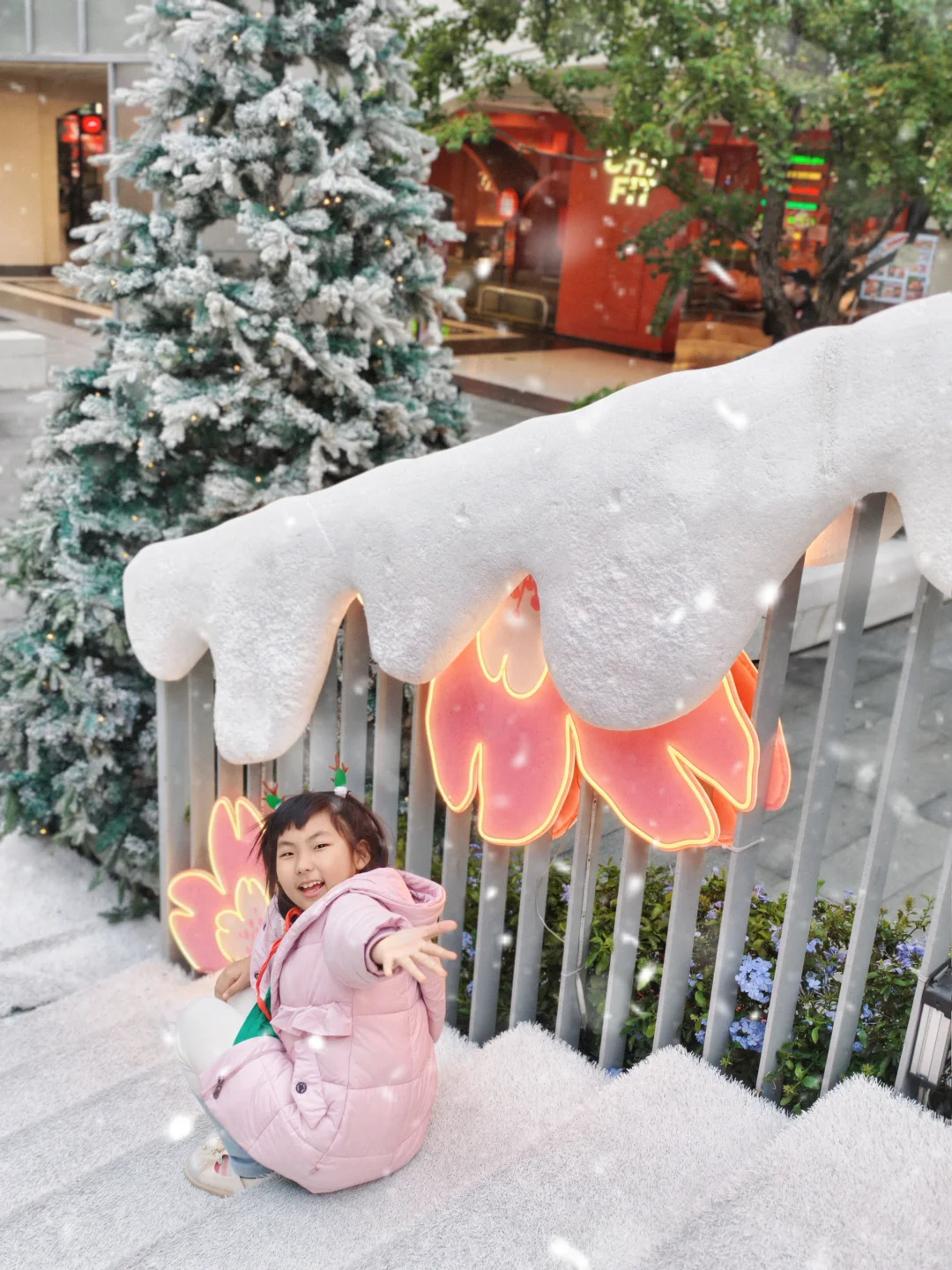 📢来啦来啦❗广州圣诞🎄免费看❄️撸宠