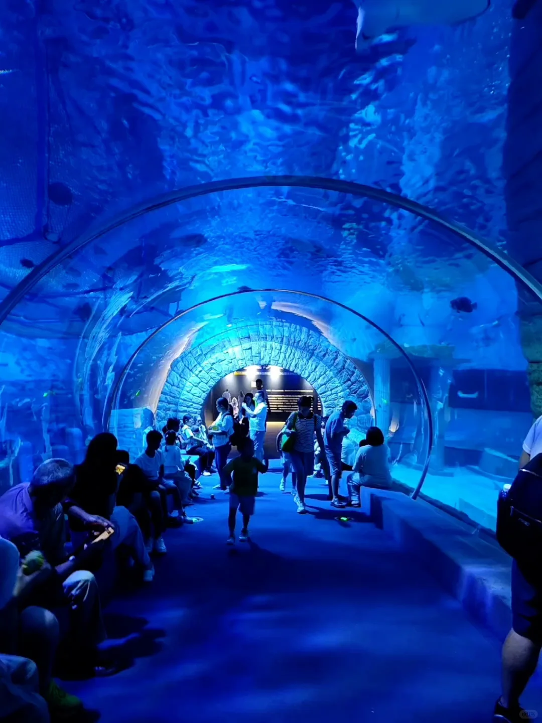 不允许你不知道❗❗广州遛娃天花板！