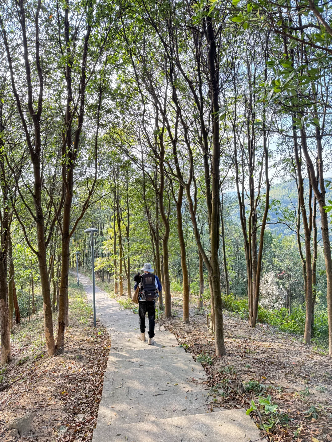 🧱黄埔牛头山，带娃打卡广州小长城