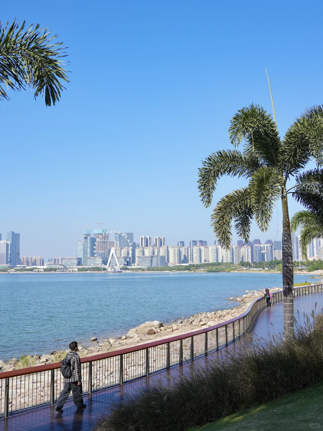 深圳一日citywalk，建议直接复制这条路线‼️