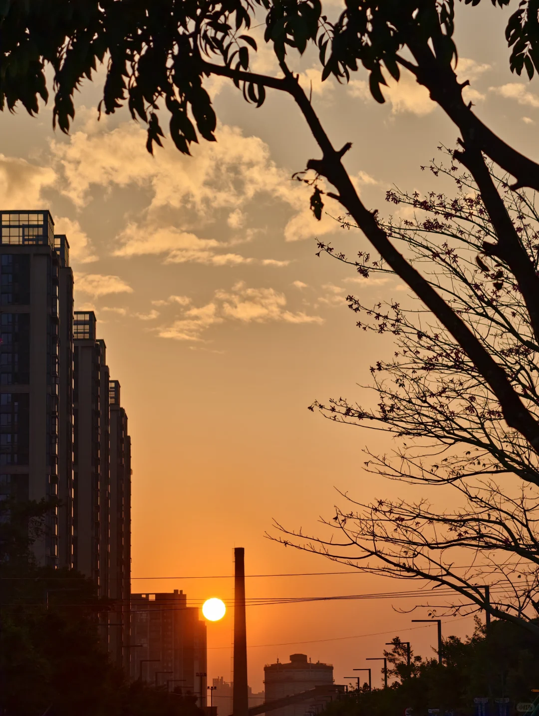 广州新地标｜船台1914拥抱无界珠江