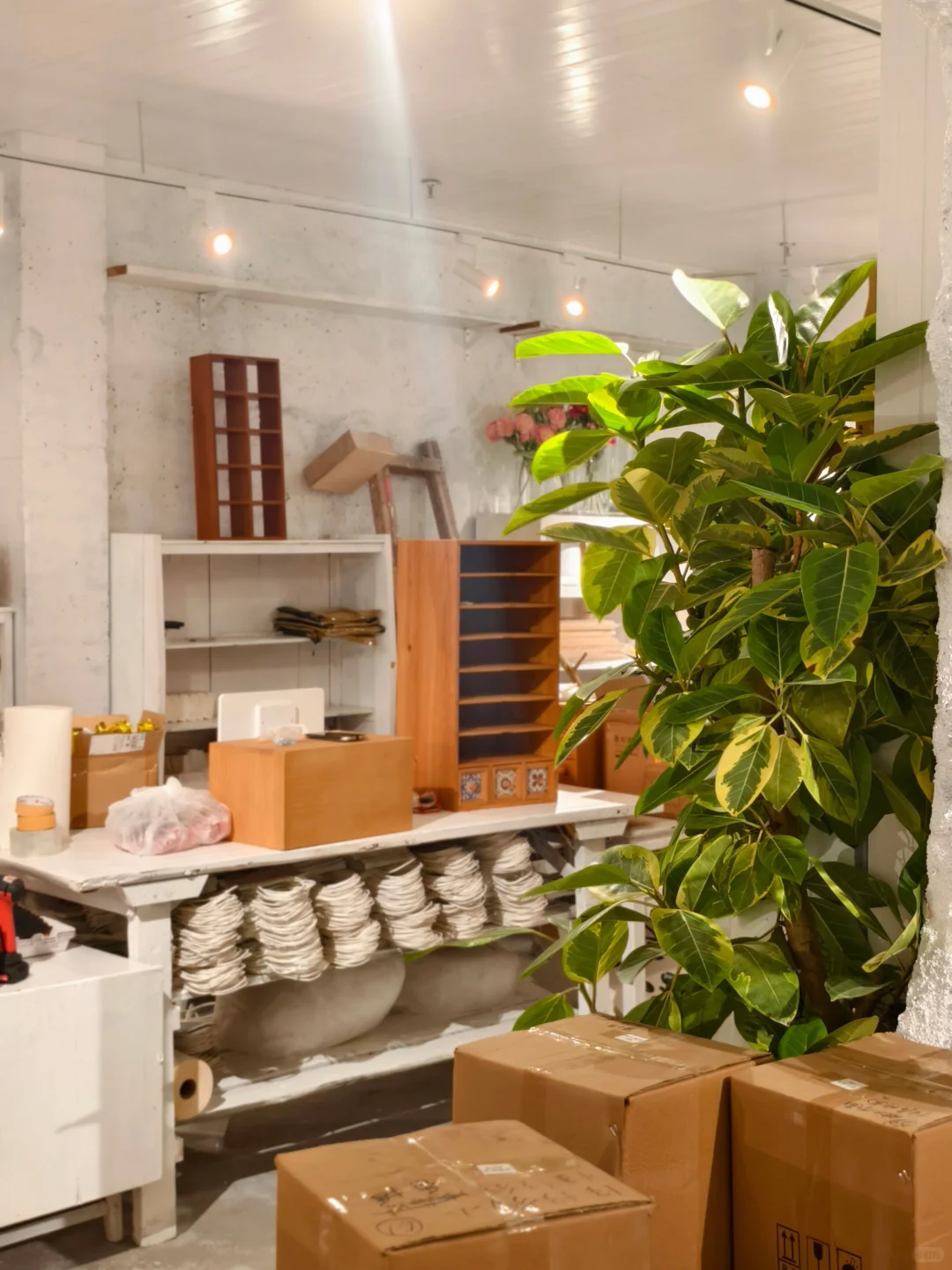 东莞新店预警！终于等到小物日记来啦