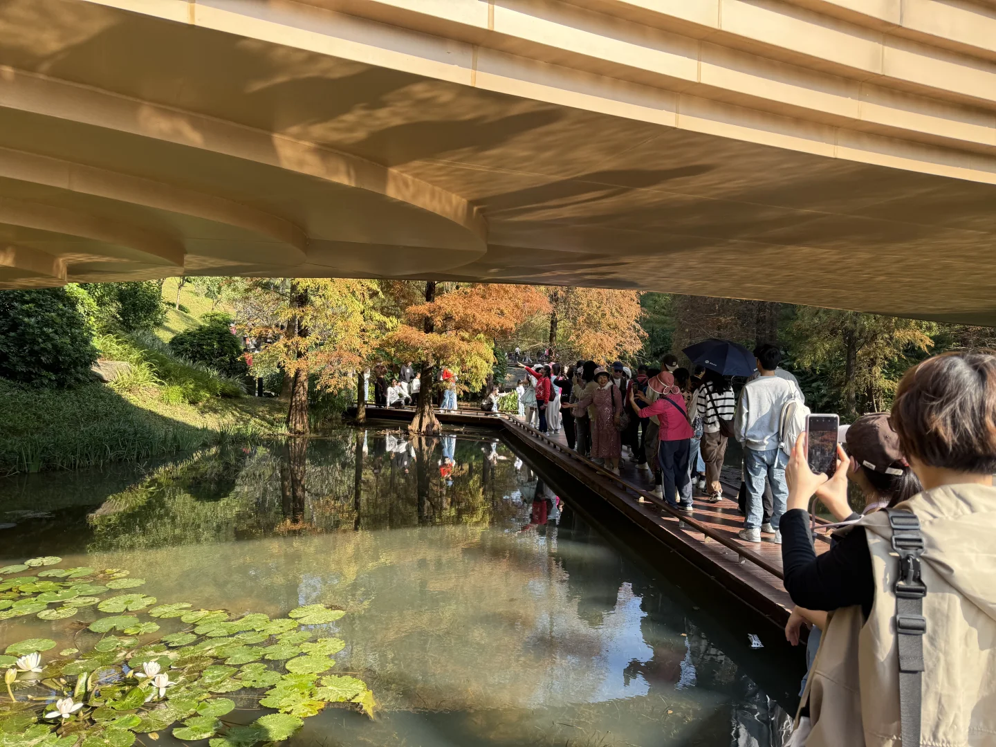 我推荐每个在广州的朋友立刻马上去