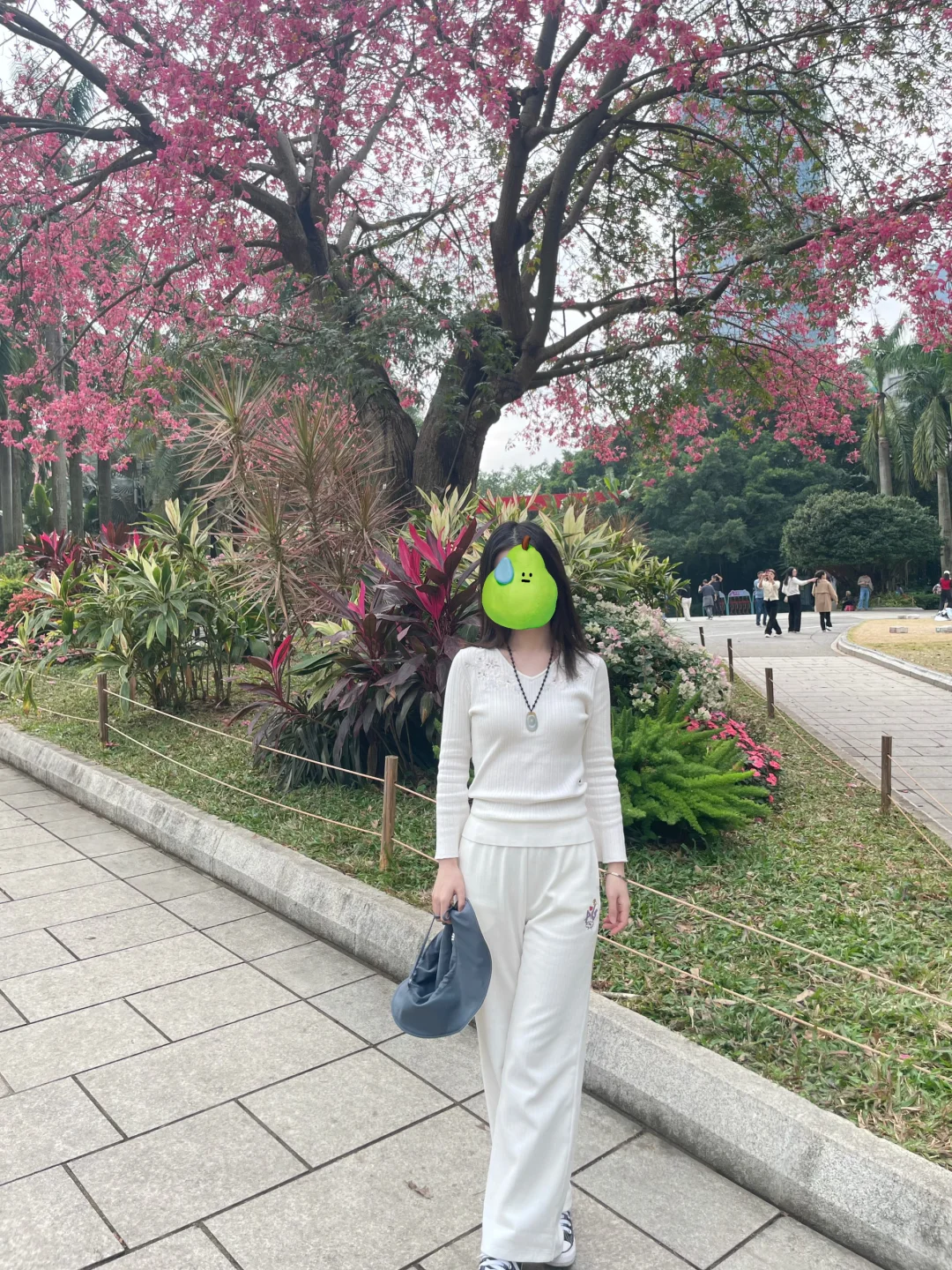 现在深圳确实比北京好……