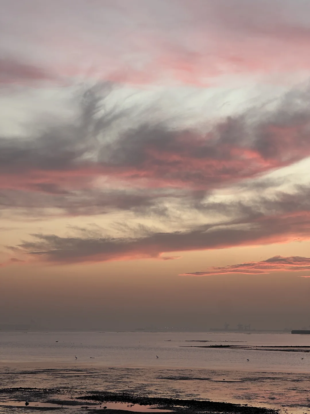 东莞·在海边看日落的18个瞬间｜live photos