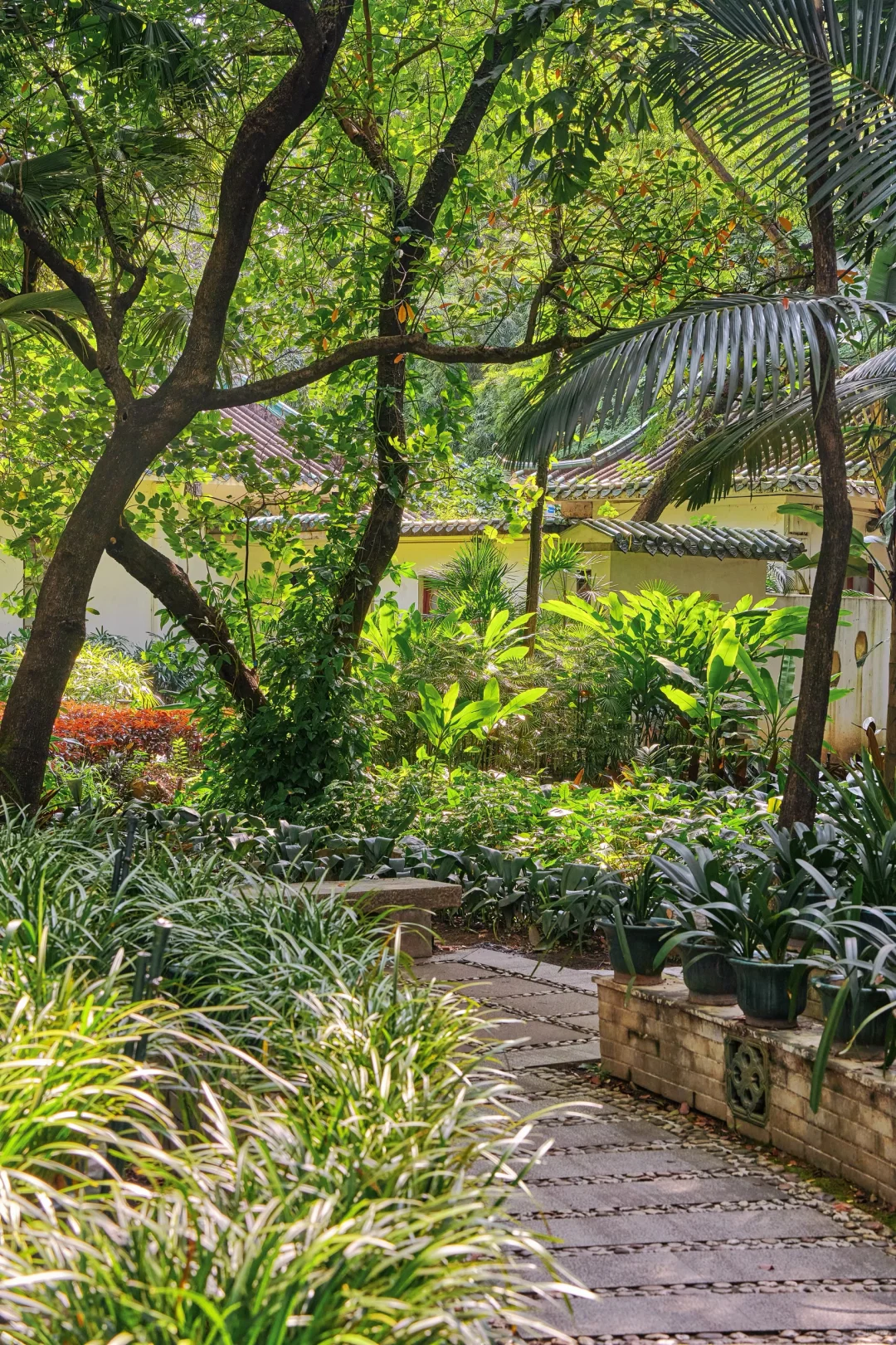 被问爆的广州古风园林☀️晴天直接美到封神～