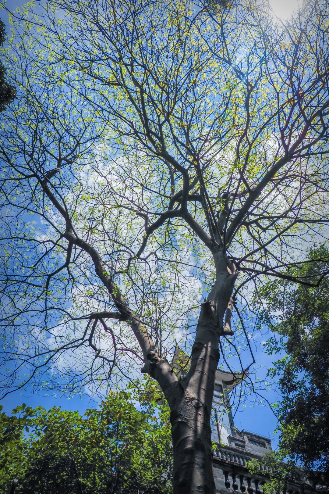 真的！人少景美的4A治愈系宝藏地