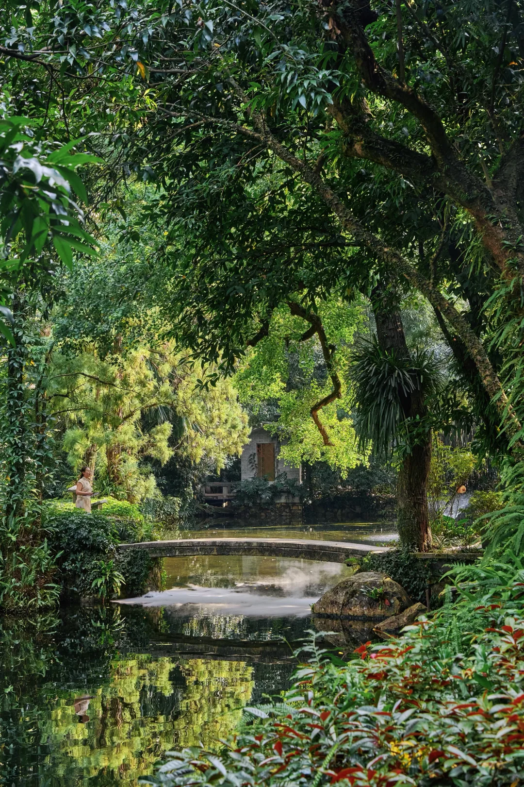 被问爆的广州古风园林☀️晴天直接美到封神～