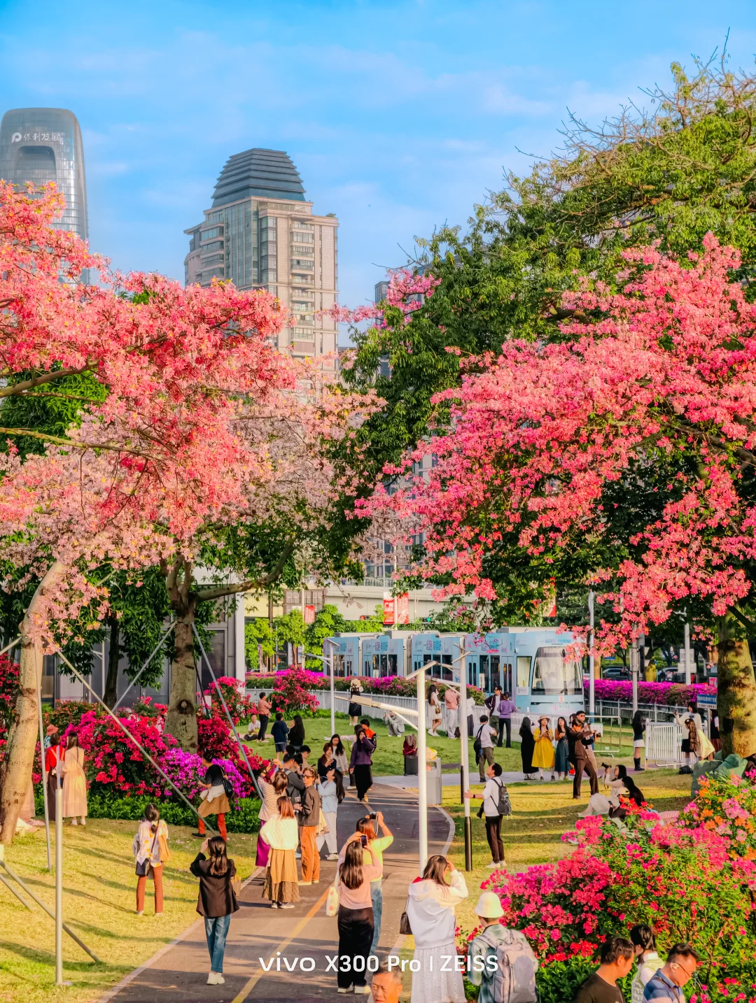 这不是春天，是12月的广州啊！附机位