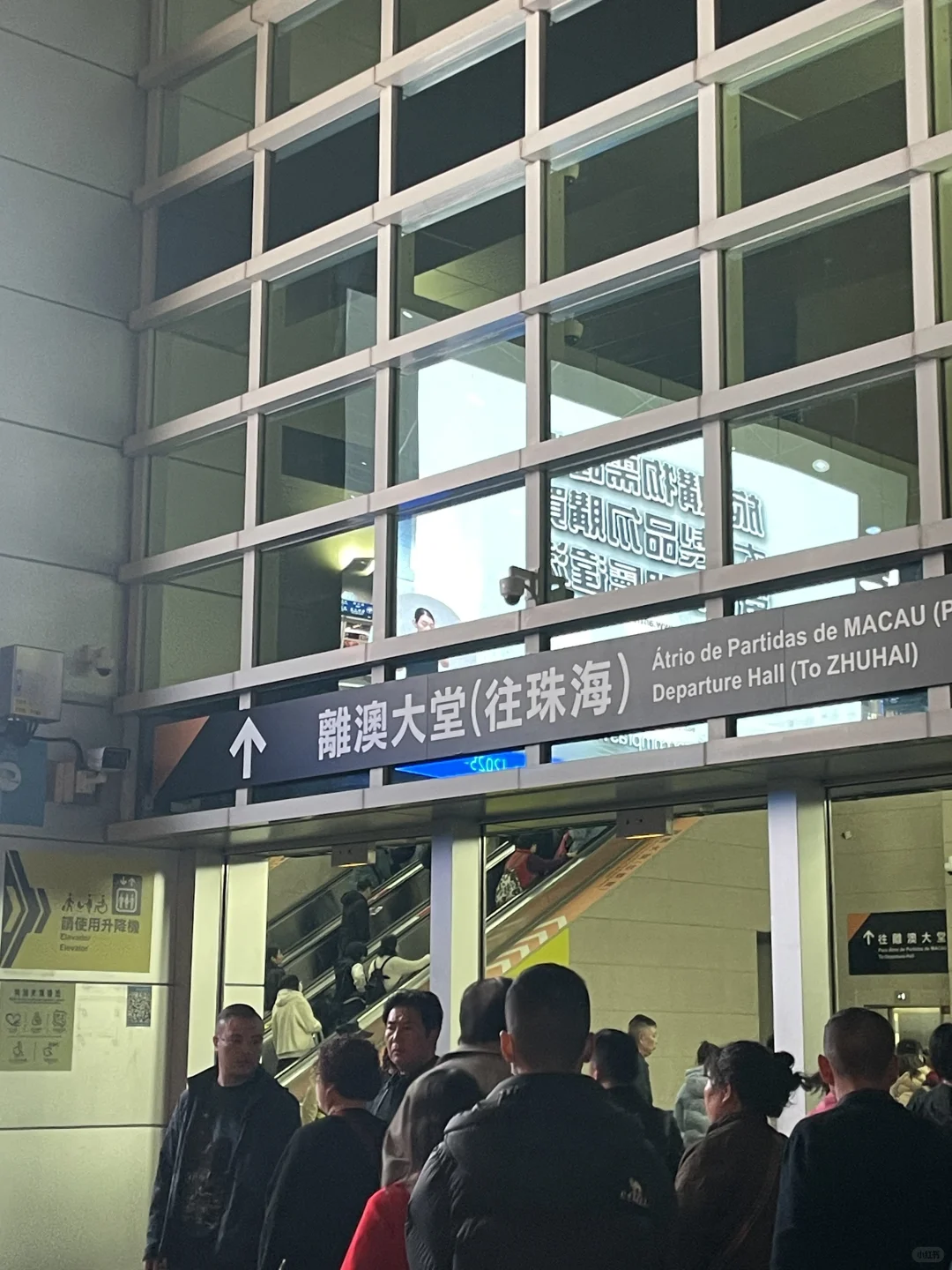 交通篇：深港珠澳血泪经验总结（实践版❗️）