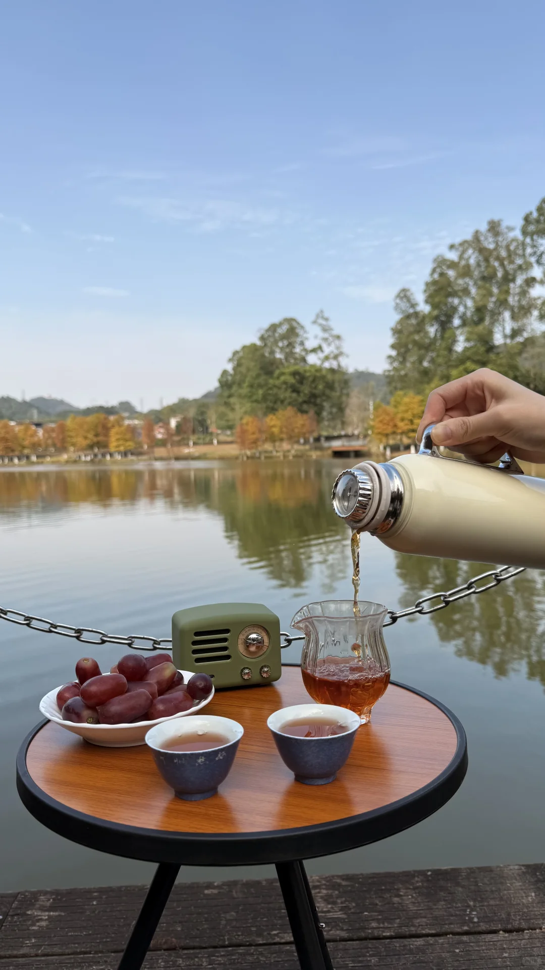 东莞的冬，藏在落羽杉的绯色里🍂