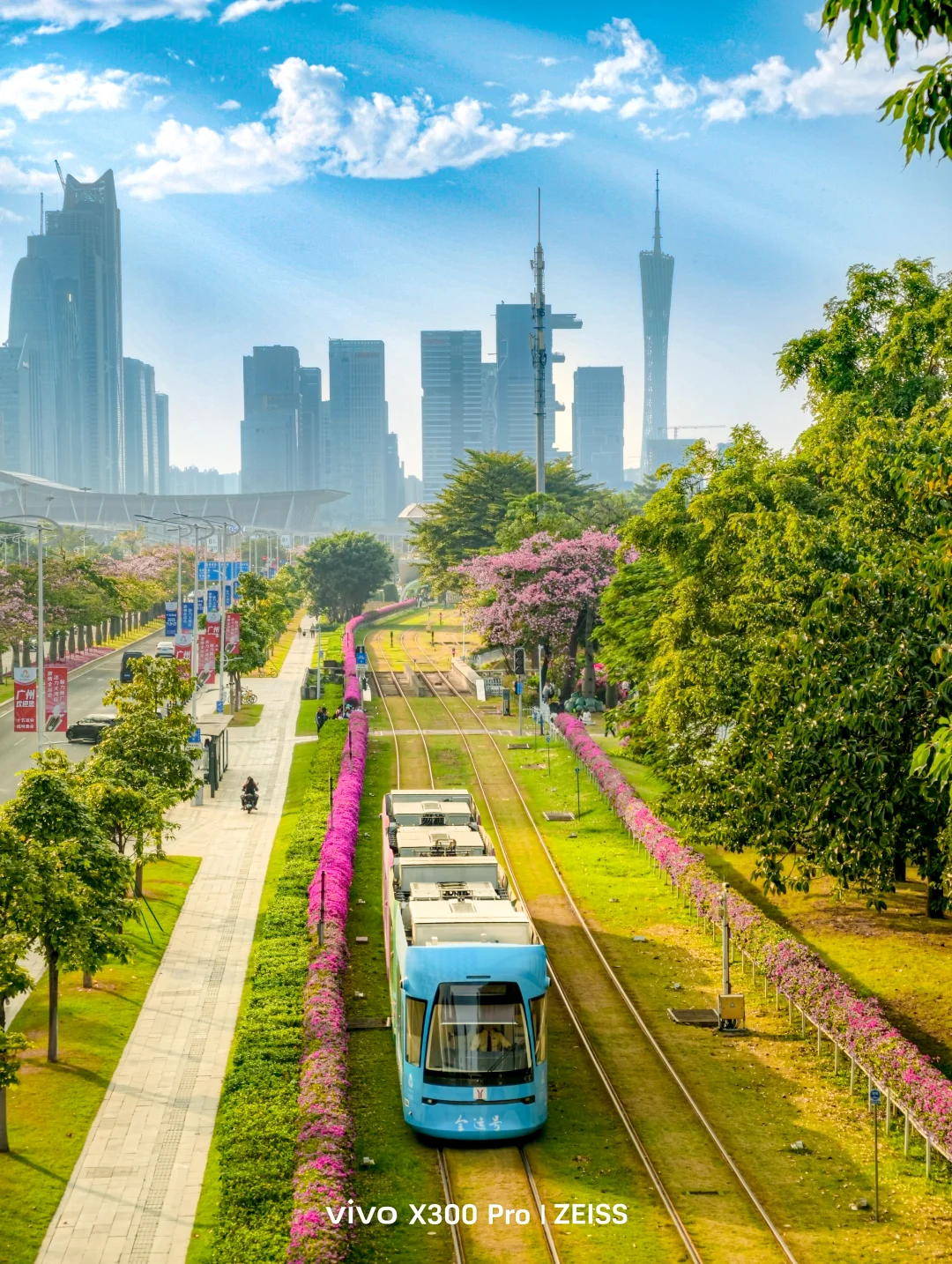 这不是春天，是12月的广州啊！附机位