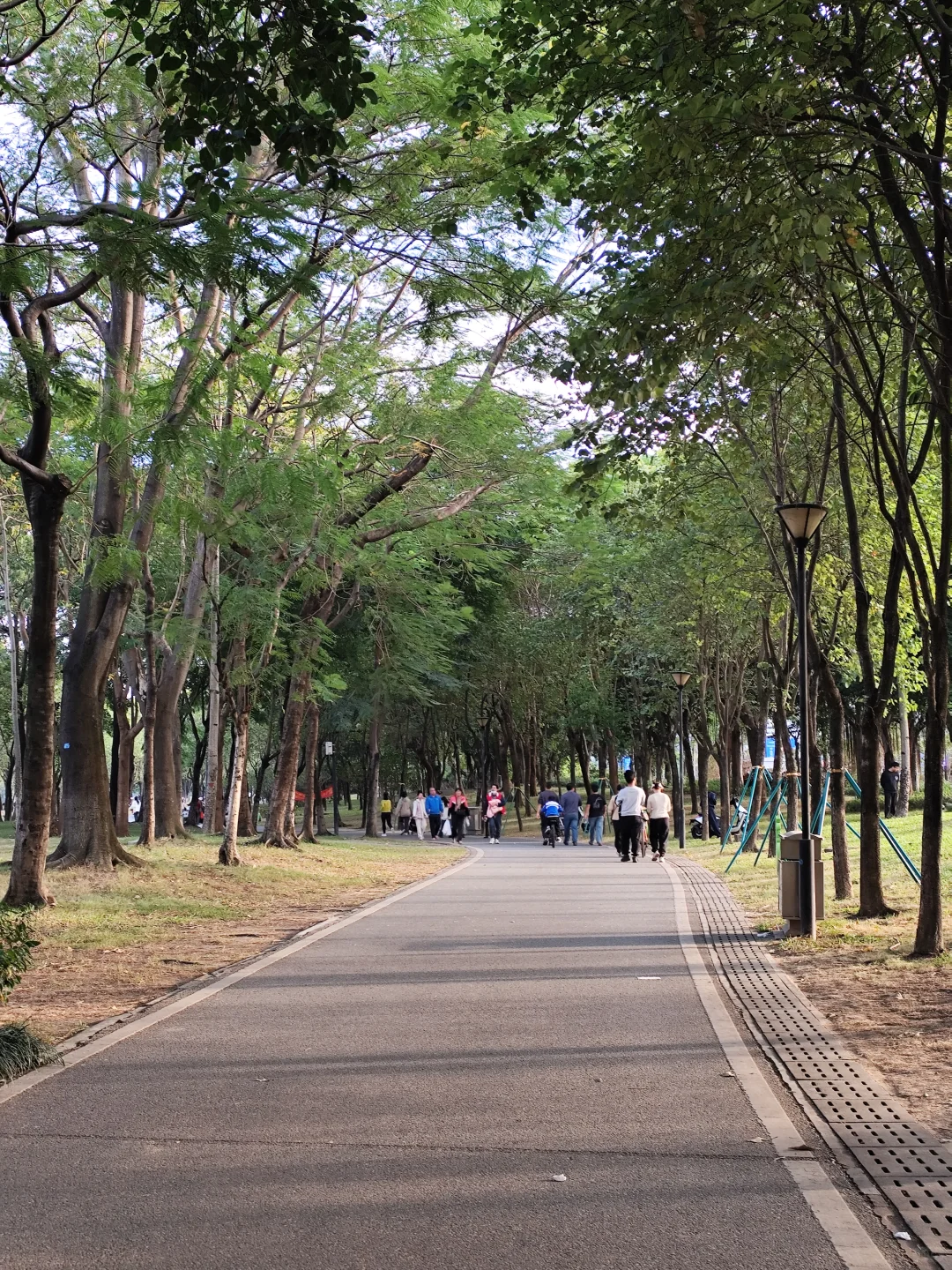 好喜欢广州这两个月的天气啊，真的太舒服啦