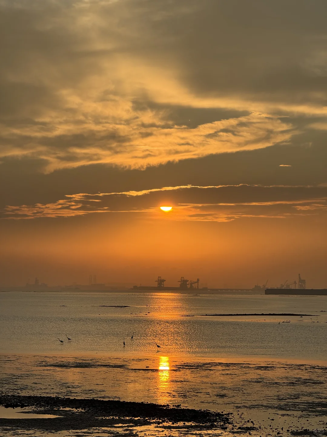 东莞·在海边看日落的18个瞬间｜live photos