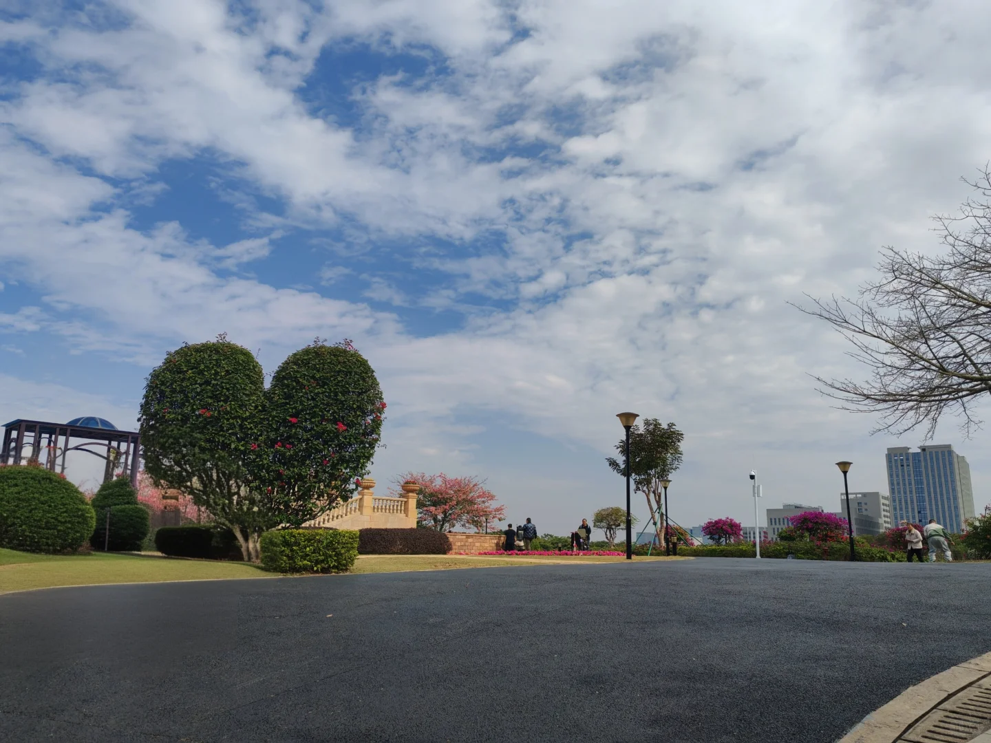 东莞植物园游玩攻略｜含网红爱心树打卡指南