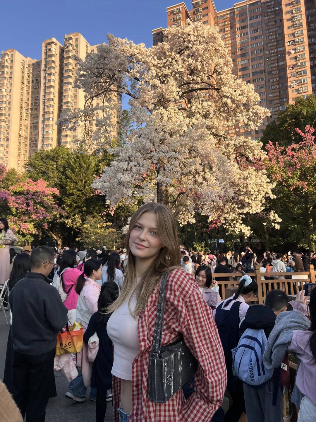 花开了的时候在广州