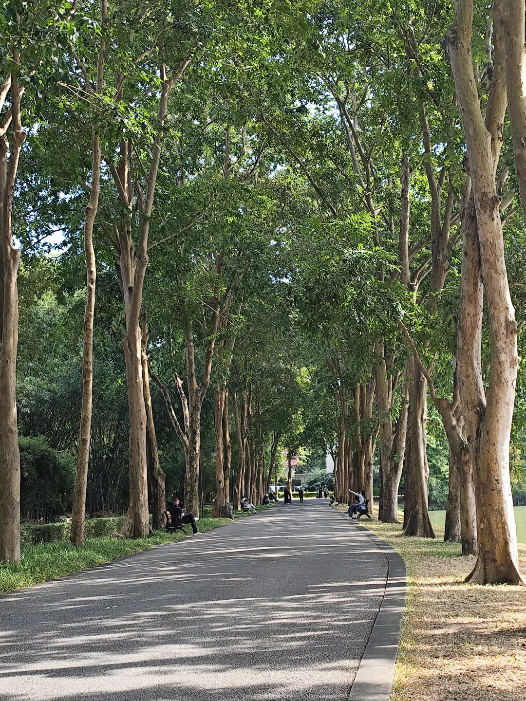 好喜欢广州这两个月的天气啊，真的太舒服啦