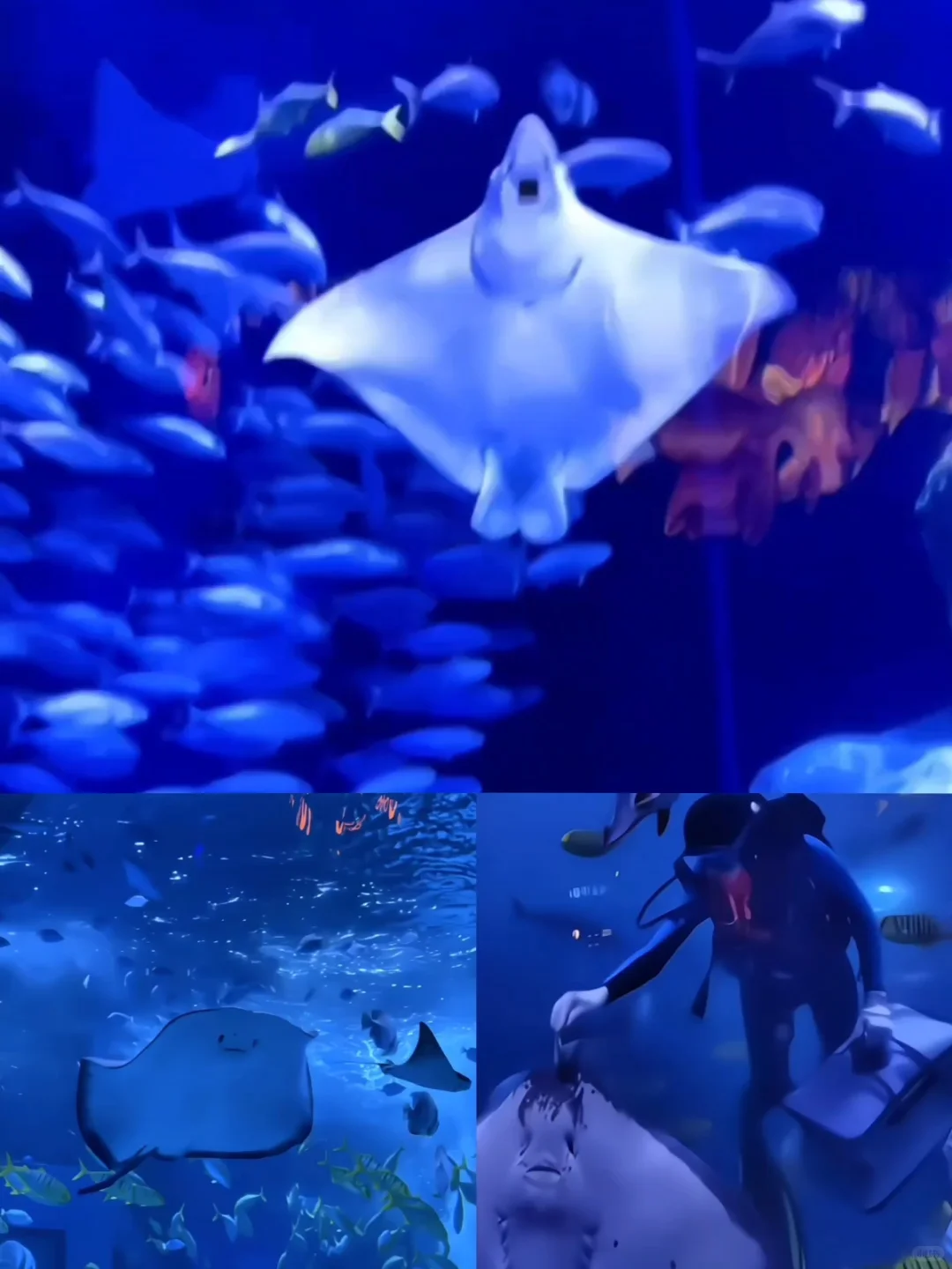 不允许你不知道❗❗广州遛娃天花板！