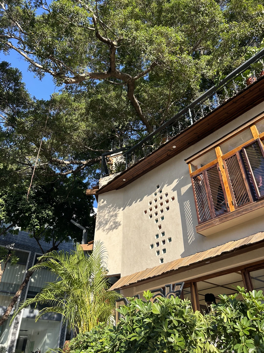 广州🌳🌳超好拍的独栋树屋咖啡