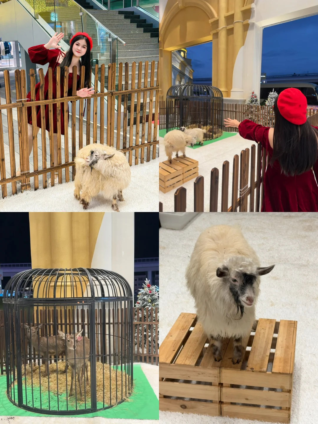 广州“双旦”Citywalk！ 出片打卡全攻略✨