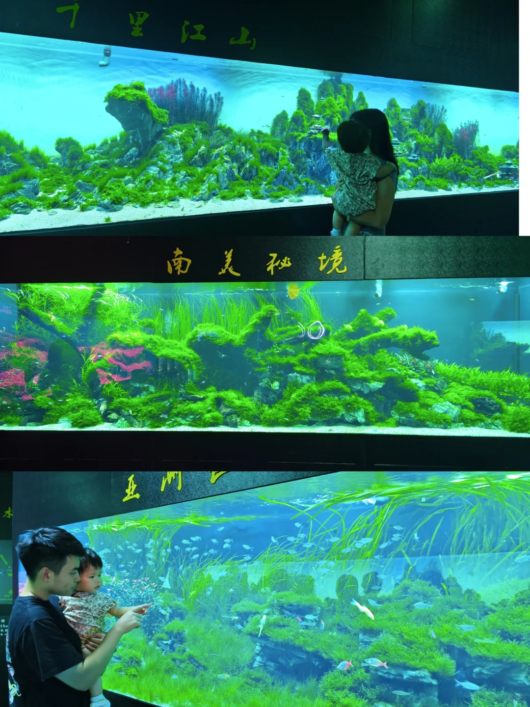 不允许你不知道❗❗广州遛娃天花板！