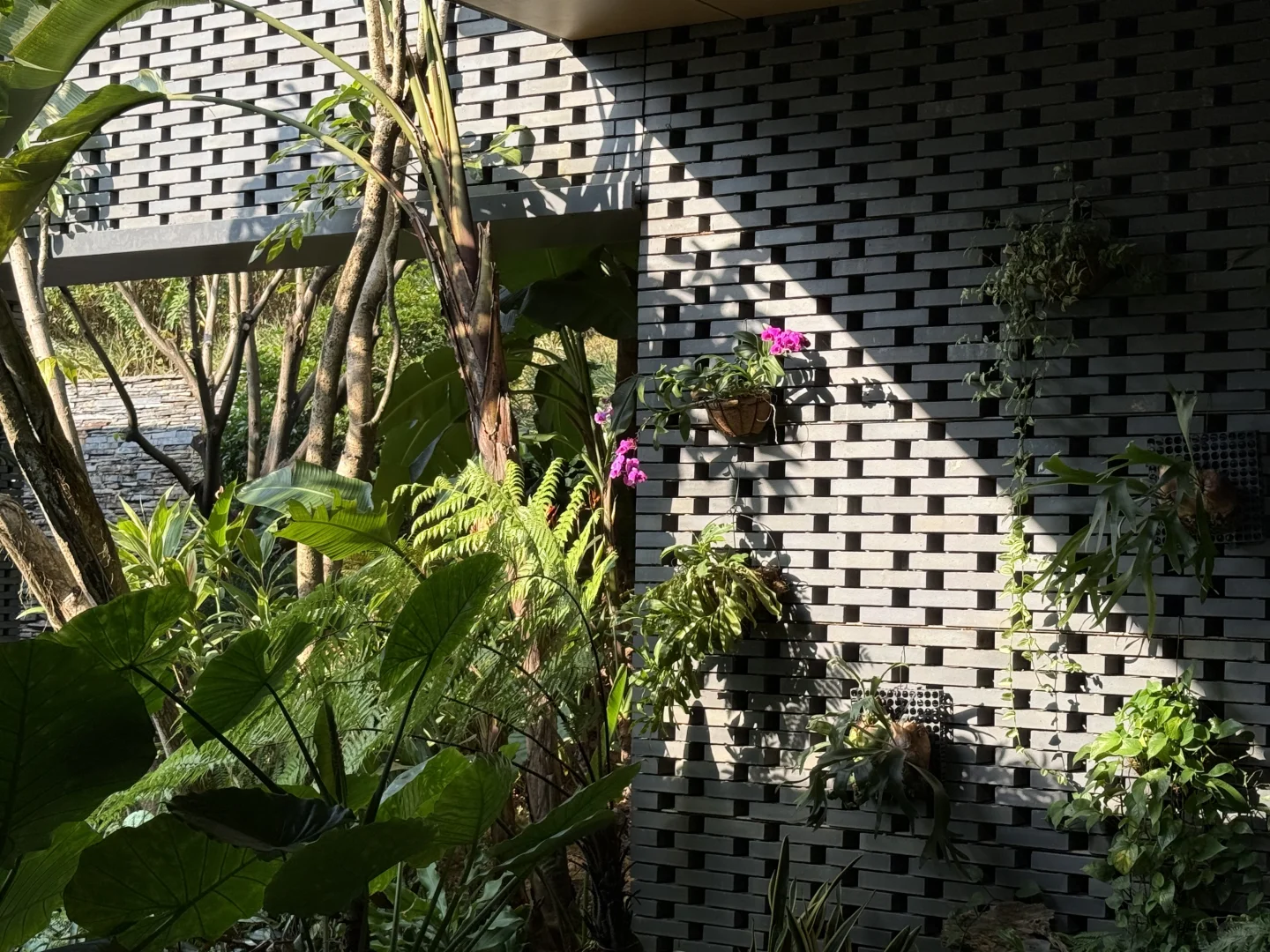 我推荐每个在广州的朋友立刻马上去