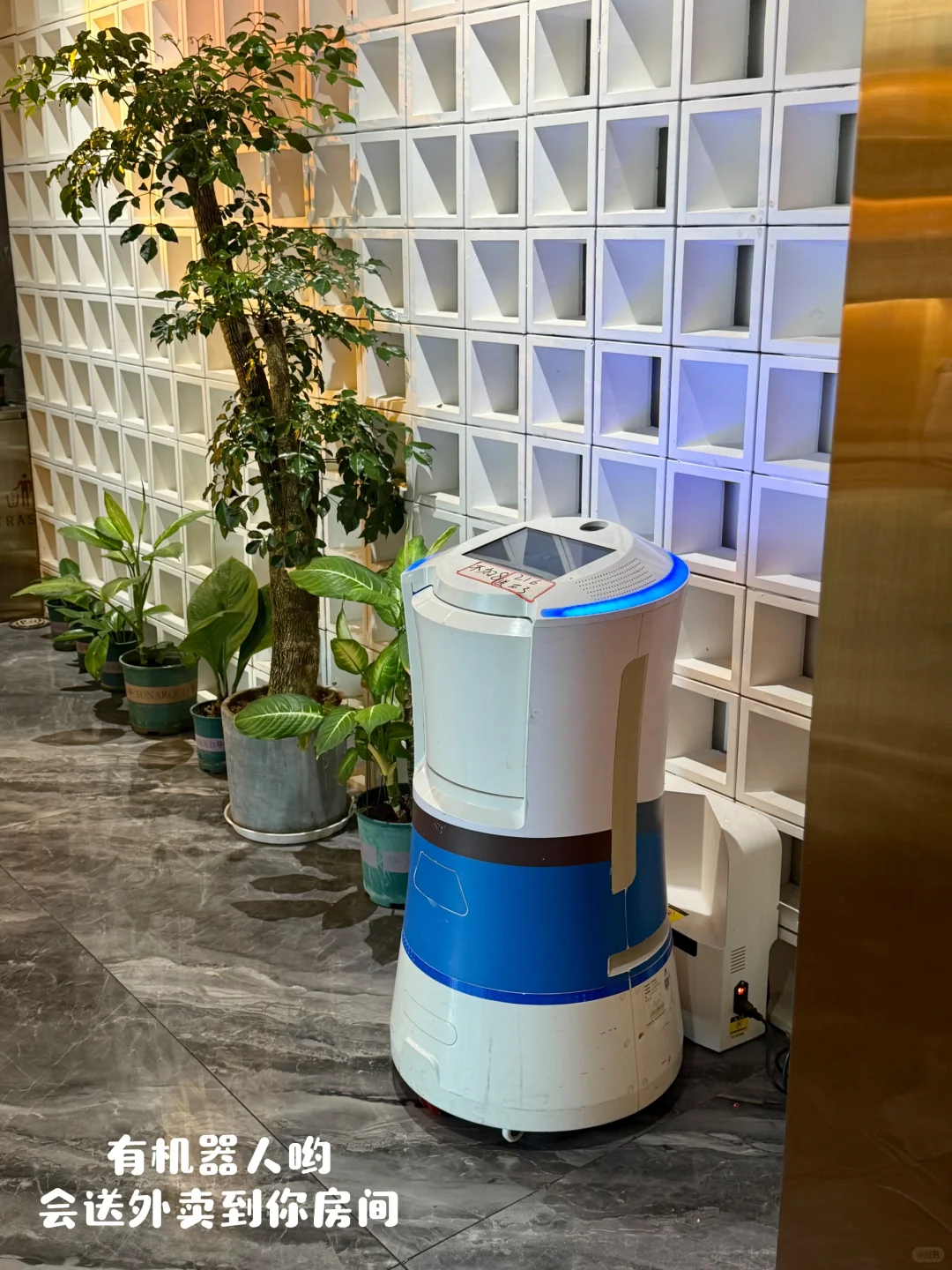 🇨🇳🇲🇾 深圳一晚130+ 平价酒店！