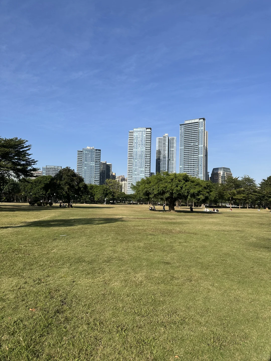 也算是进城了吧，这个季节的东莞真舒服