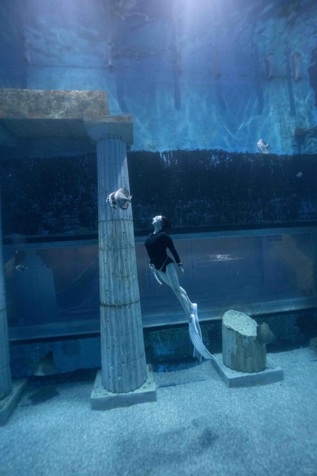 广州正佳极地海洋世界潜水中心