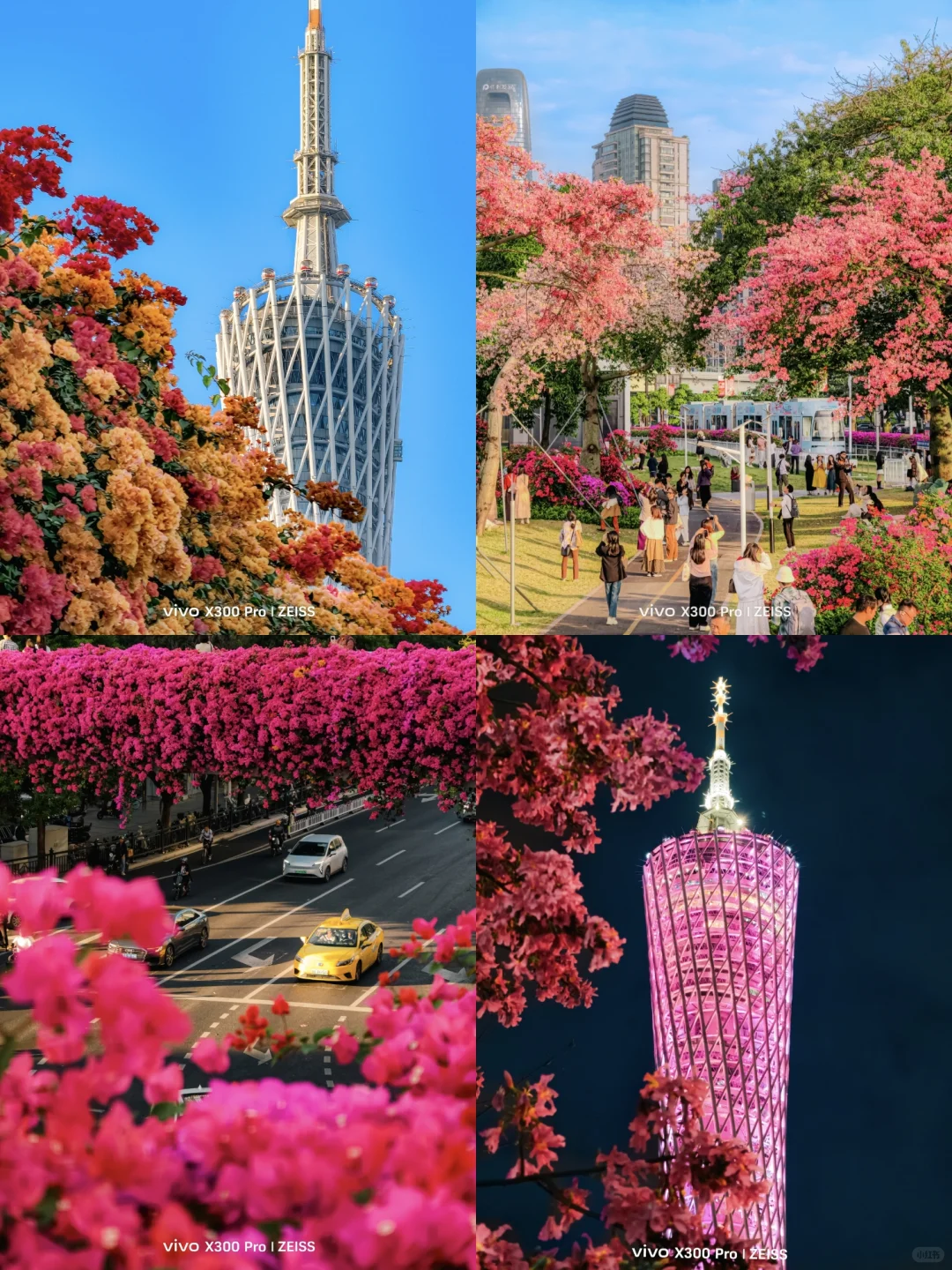 这不是春天，是12月的广州啊！附机位