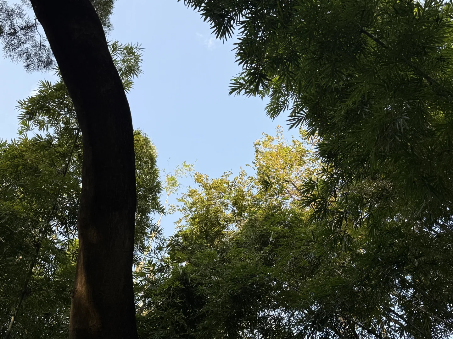 我推荐每个在广州的朋友立刻马上去