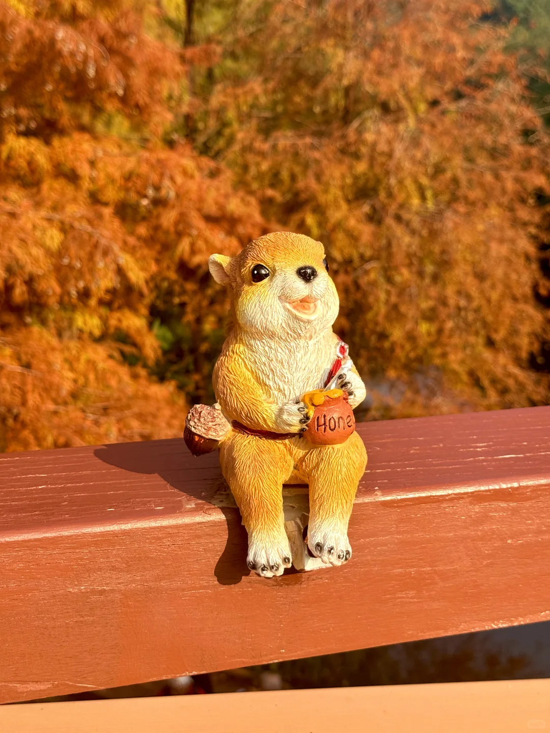 12.8live实况 广州落羽杉红啦🍁0元打卡攻略