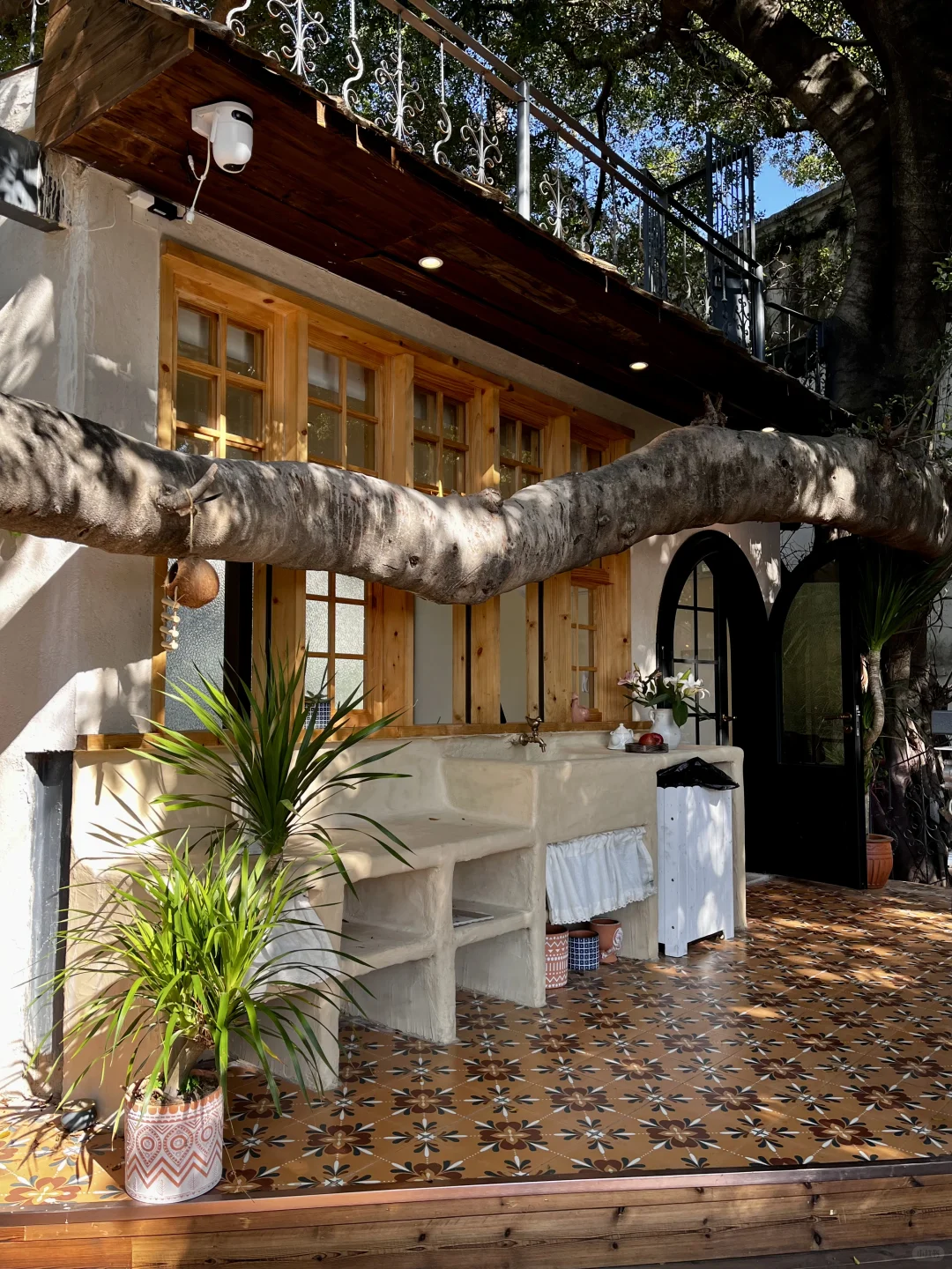 广州🌳🌳超好拍的独栋树屋咖啡