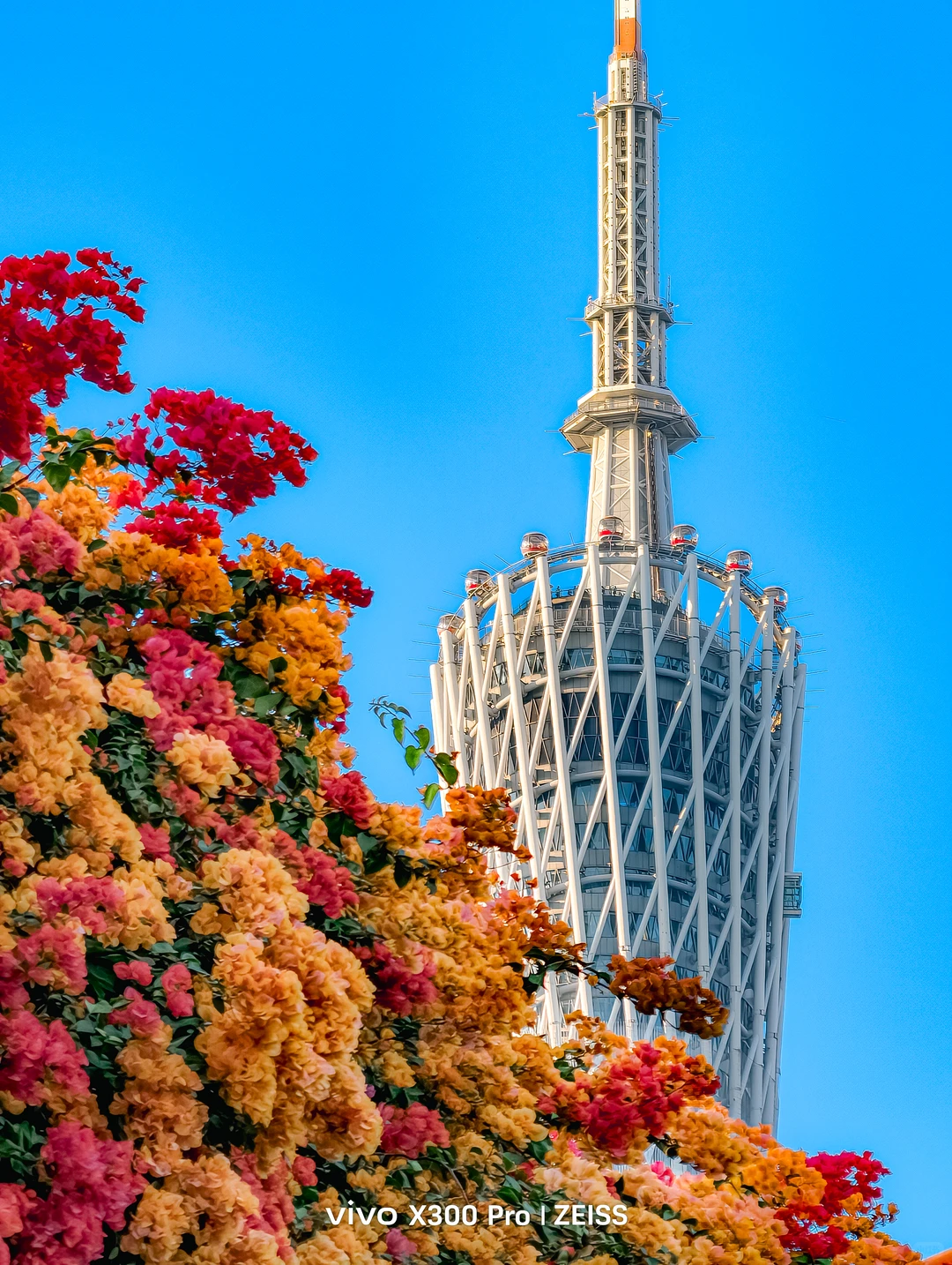 这不是春天，是12月的广州啊！附机位