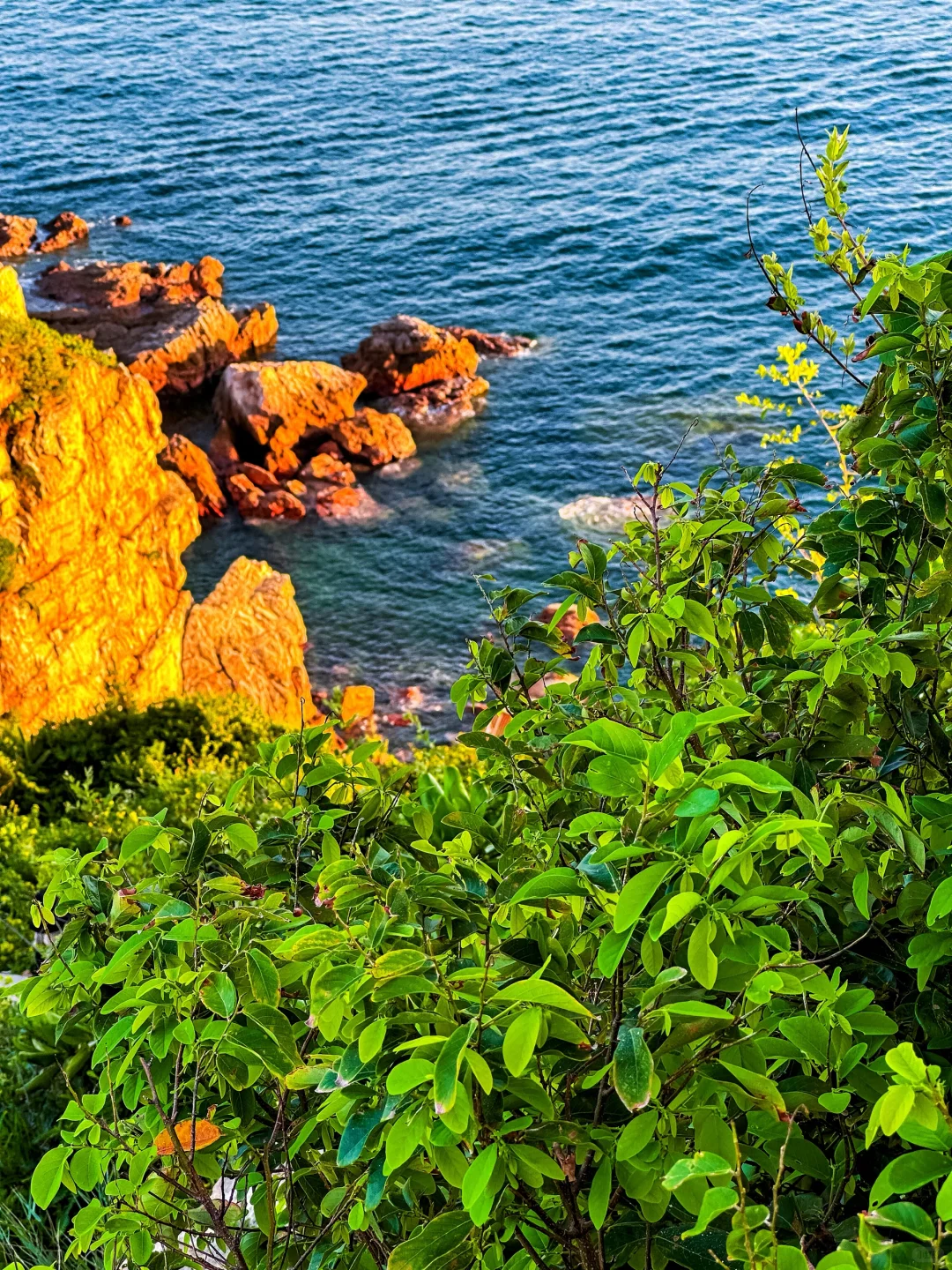 《国家地理》没有骗我，深圳绝美海岸线攻略