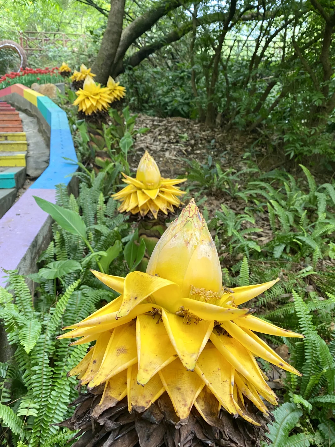 广州——白云山