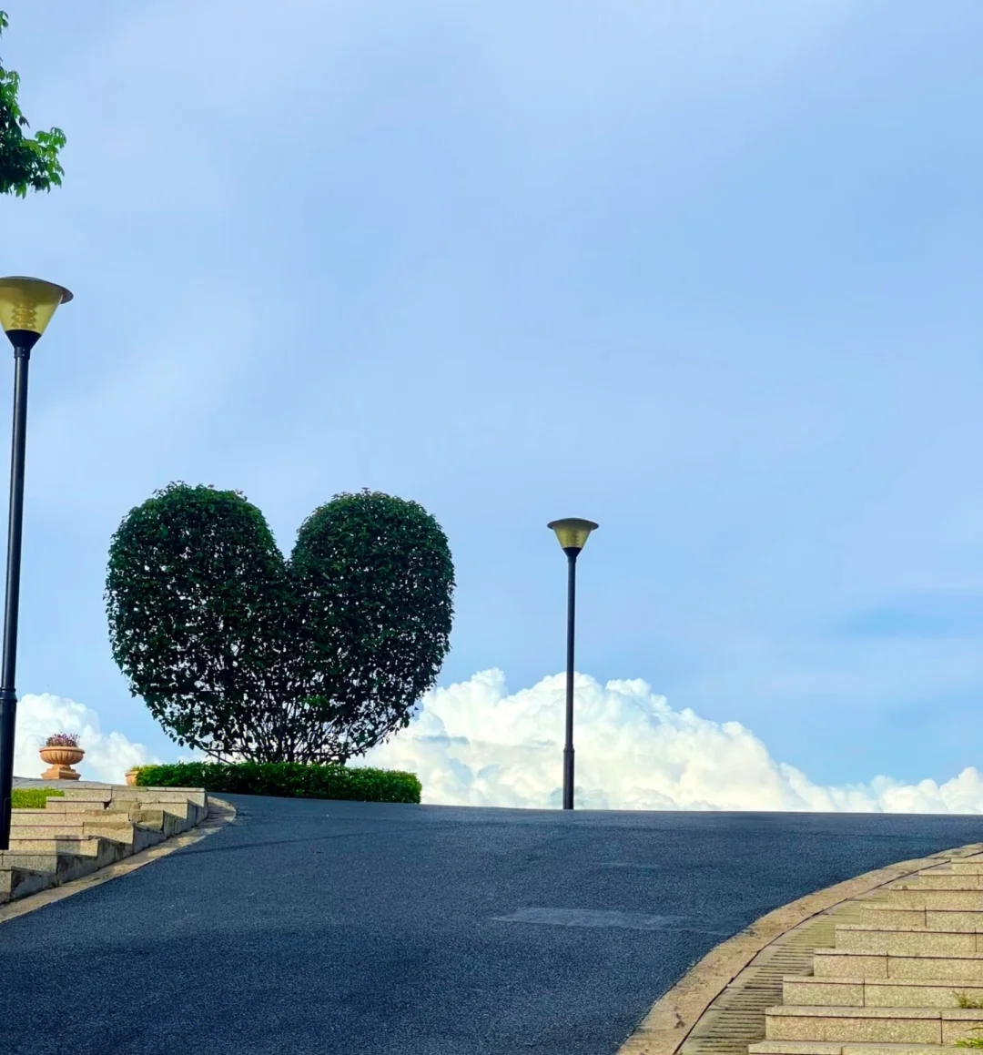 东莞植物园游玩攻略｜含网红爱心树打卡指南