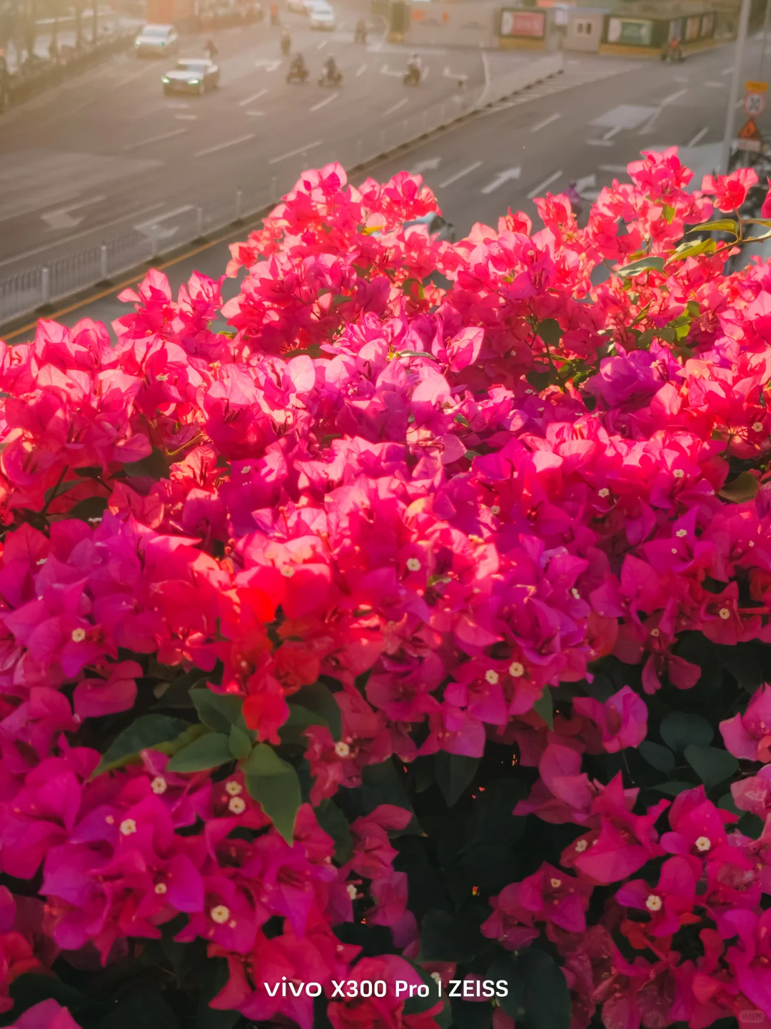 这不是春天，是12月的广州啊！附机位