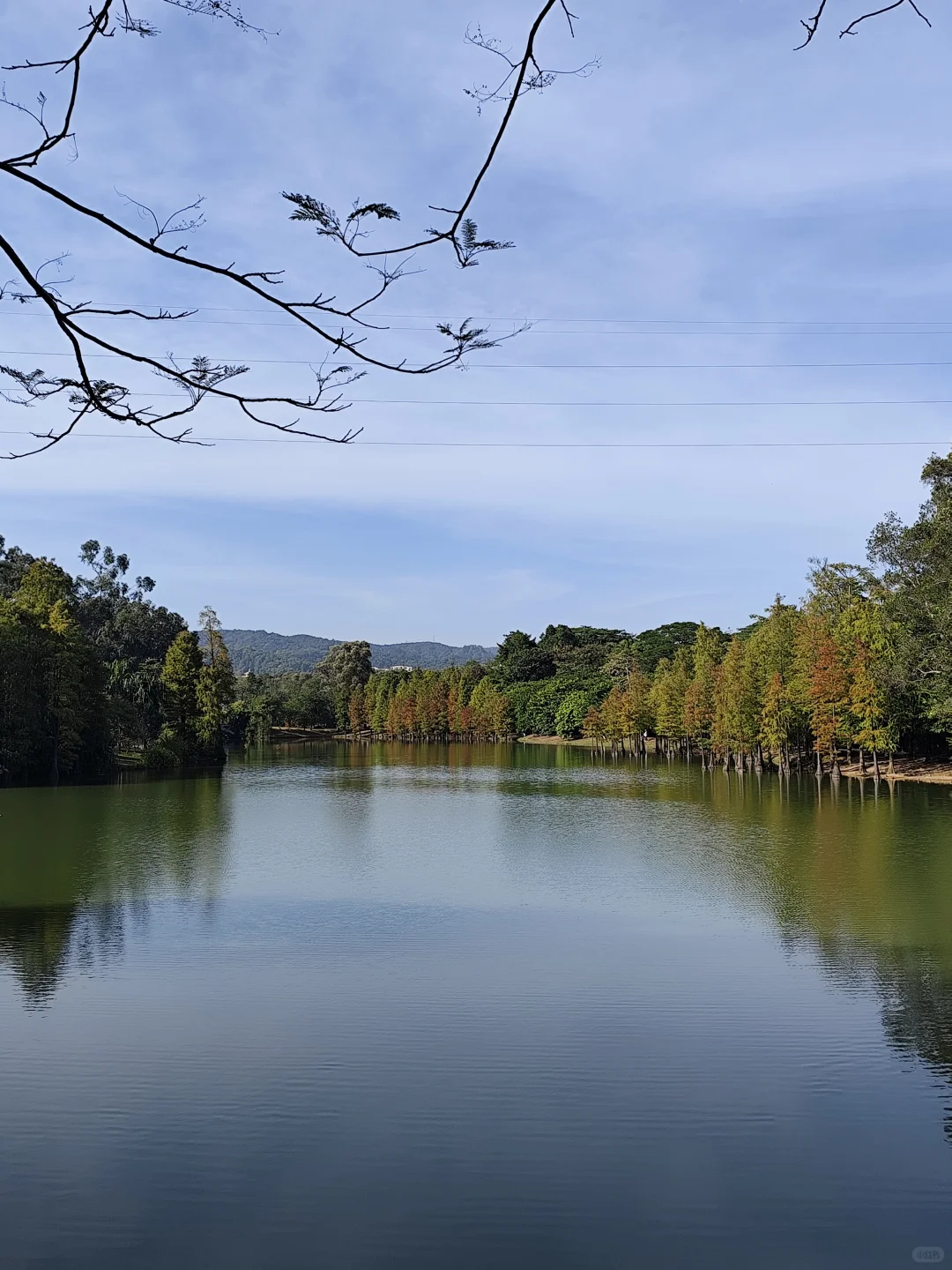 好喜欢广州这两个月的天气啊，真的太舒服啦