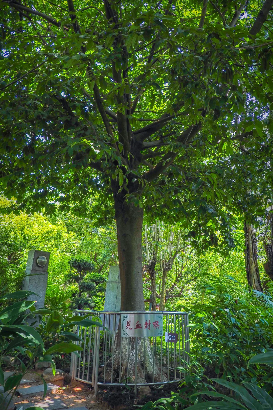 真的！人少景美的4A治愈系宝藏地