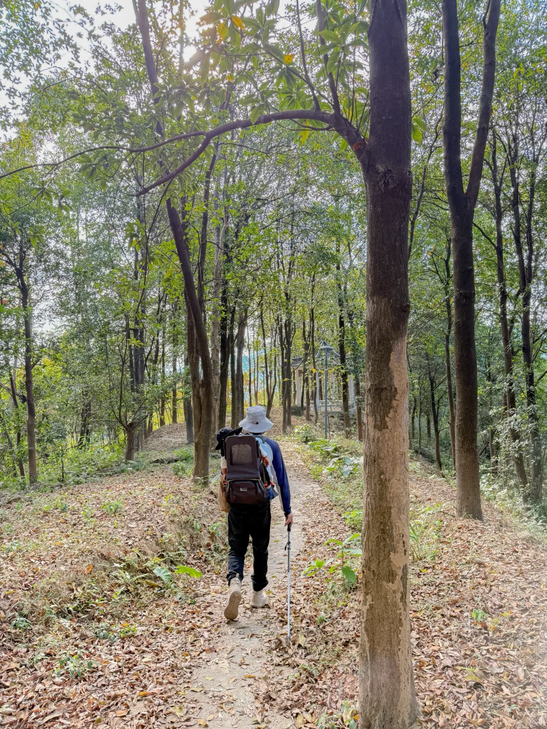 🧱黄埔牛头山，带娃打卡广州小长城