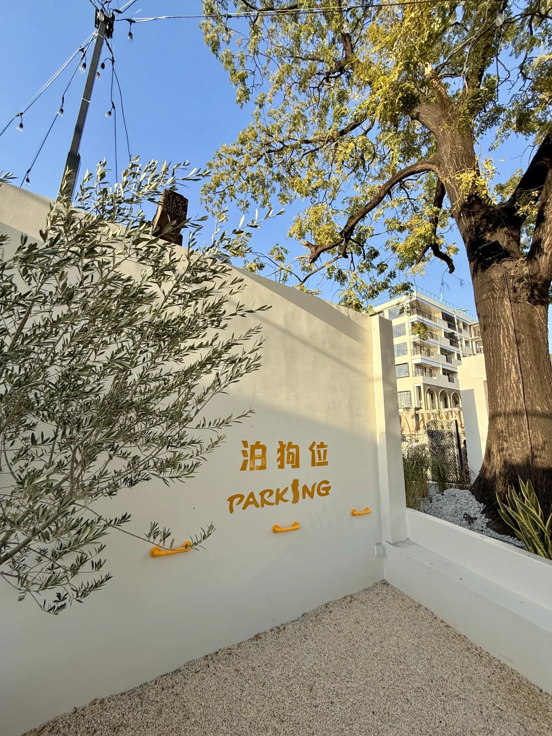 广州新的！！！！！超有氛围！！！！！