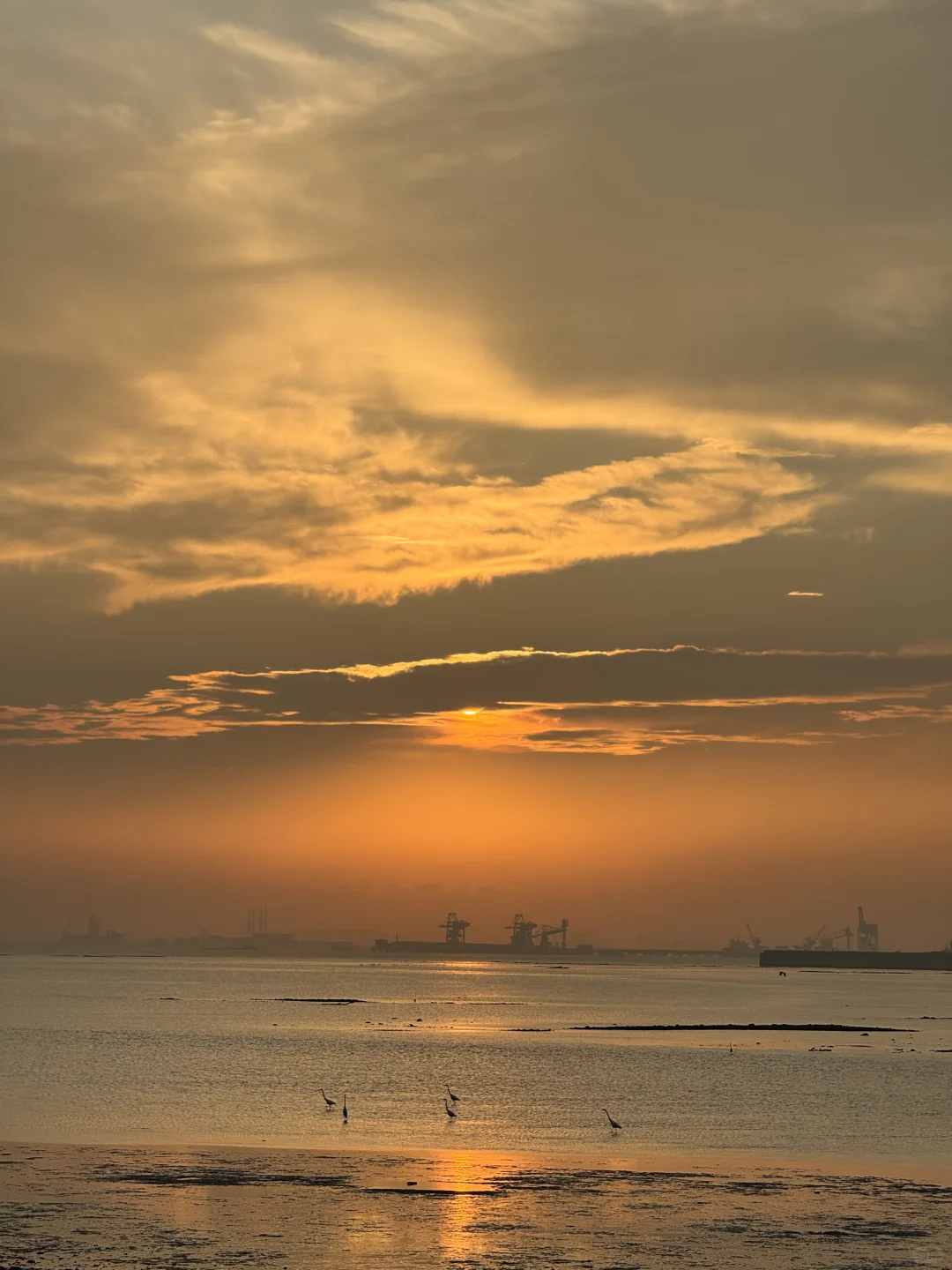 东莞·在海边看日落的18个瞬间｜live photos