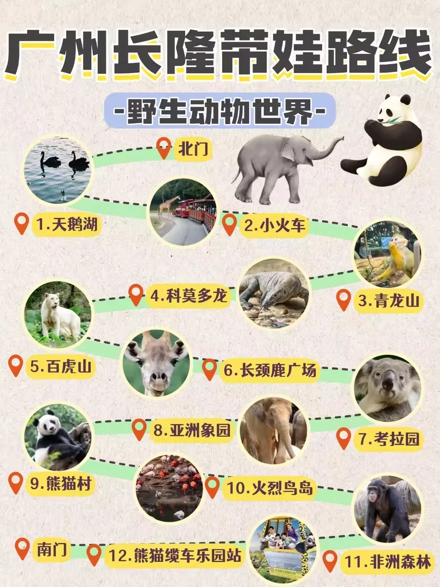 宝妈想带娃去广州长隆玩？看这篇就够了